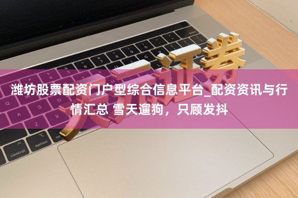 潍坊股票配资门户型综合信息平台_配资资讯与行情汇总 雪天遛狗，只顾发抖