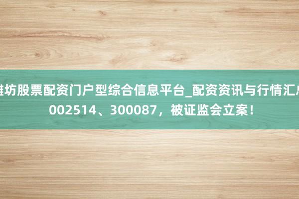 潍坊股票配资门户型综合信息平台_配资资讯与行情汇总 002514、300087，被证监会立案！