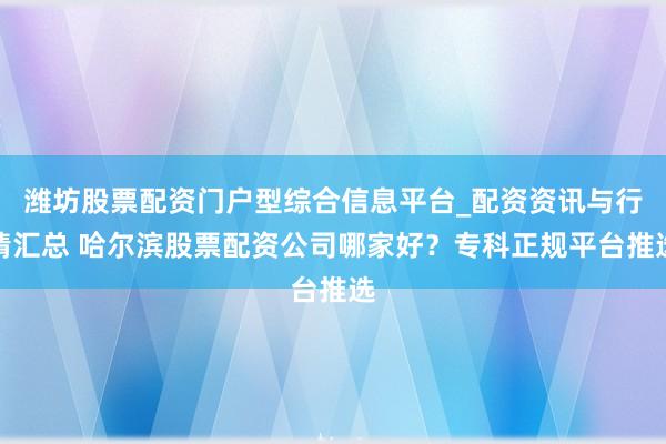 潍坊股票配资门户型综合信息平台_配资资讯与行情汇总 哈尔滨股票配资公司哪家好？专科正规平台推选